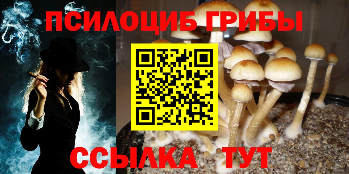 Псилоцибиновые грибы ЛСД Куйбышев