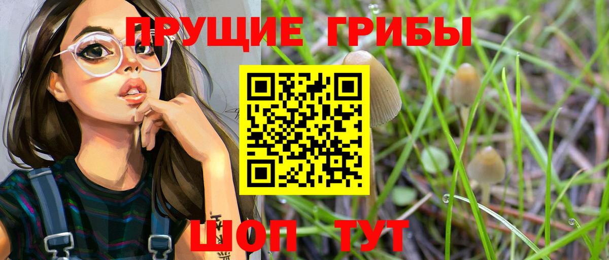 Куйбышев  Псилоцибиновые грибы прущие грибы  Вход с VPN 